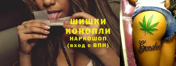 ешки Вяземский