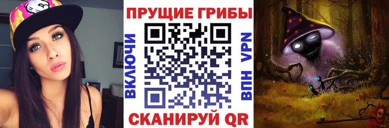 Псилоцибиновые грибы Psilocybine cubensis  Железногорск 